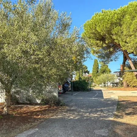 Apartament Lovely In With Wifi Medulin